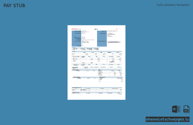 Oracle Payroll Advantage Sales and Marketing LLC Gehaltsabrechnungsbeispiel (Vorschau)